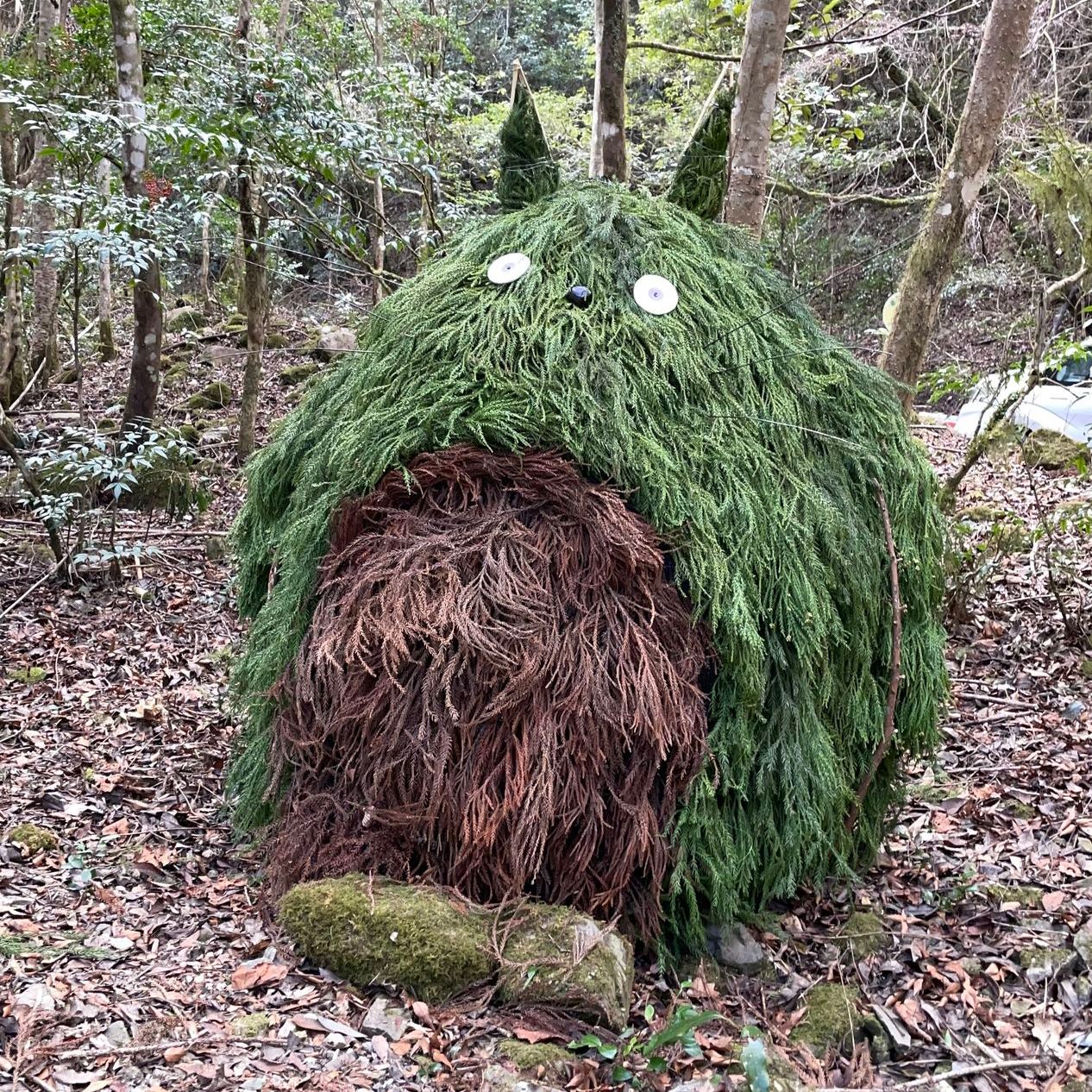 四万十川流域の森